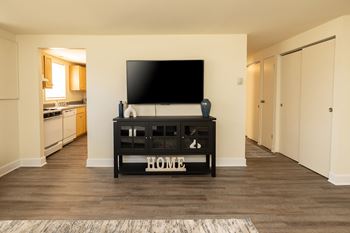 Living room tv